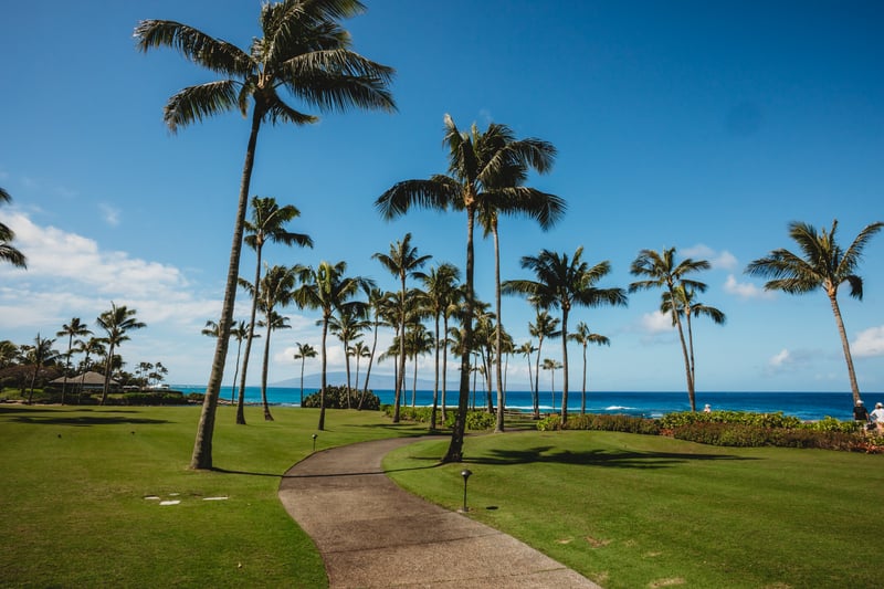 Stroll the palm-lined garden pathways leading to crystal blue ocean views and tropical island paradise