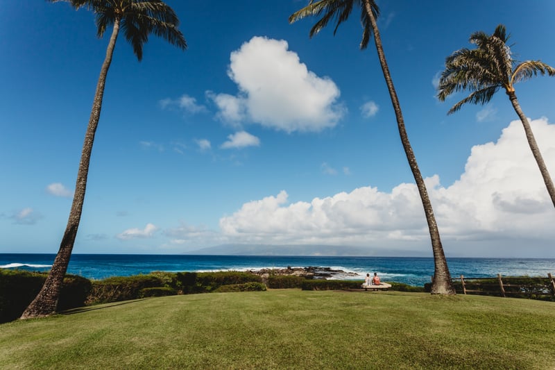 Take in panoramic ocean views framed by swaying palms and open lawns, offering peaceful Maui coastal serenity