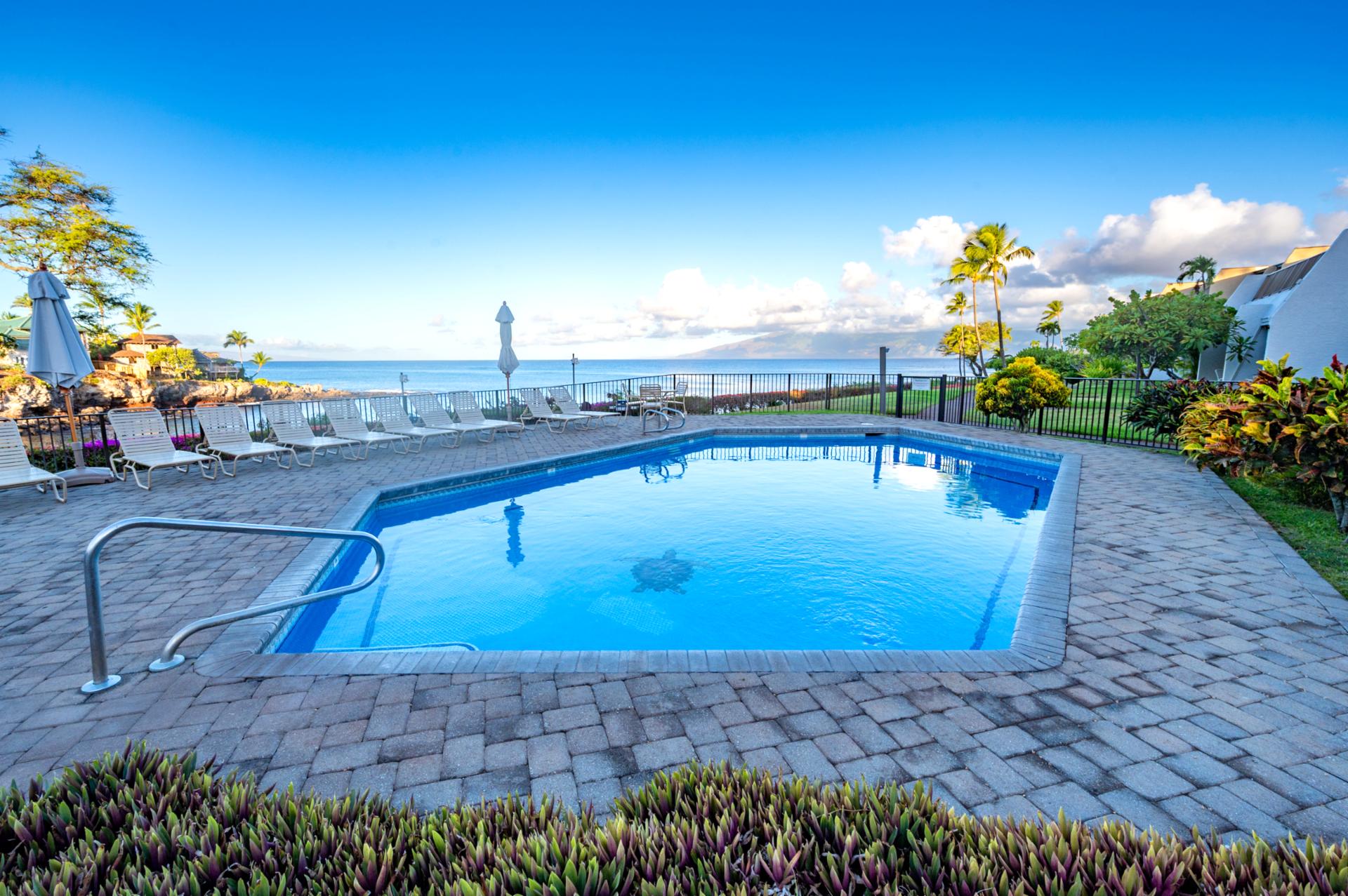 Napili Point pool with ocean views, lush landscaping, and a signature sea turtle mosaic, an ideal setting for sunbathing or a quiet afternoon swim.