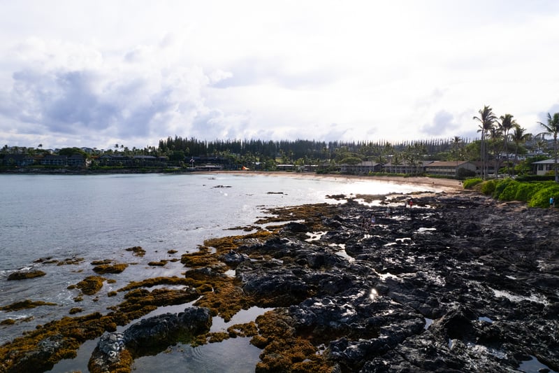 Peaceful coastal views stretch across Maui’s shoreline, offering oceanfront beauty at Napili Shores