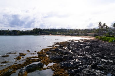 Peaceful coastal views stretch across Maui’s shoreline, offering oceanfront beauty at Napili Shores