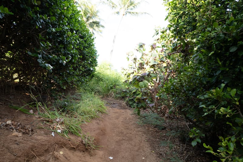 Secluded tropical paths guide guests to Maui’s pristine shoreline, framed by lush island greenery