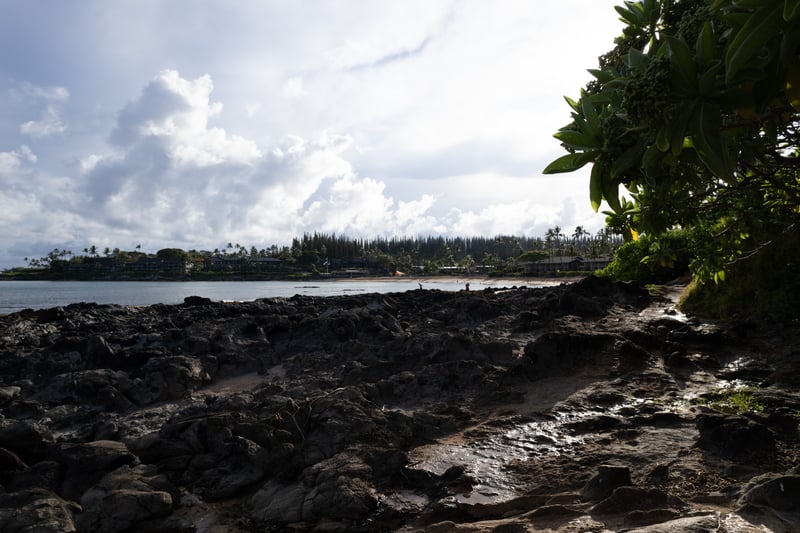 Maui’s rugged shoreline offers stunning ocean views, crashing waves & peaceful island serenity