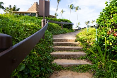 Discover hidden Maui shoreline views along tropical trails, offering ocean breezes & scenic beauty