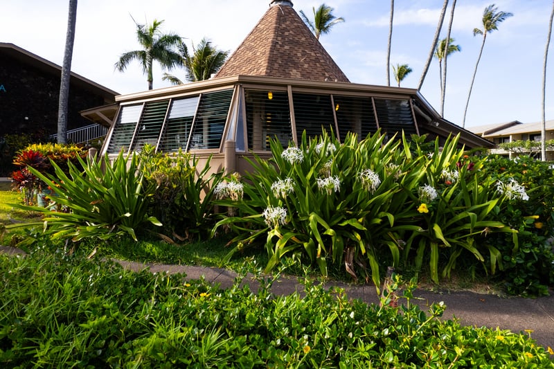 Walk shaded island trails surrounded by tropical foliage, creating tranquil pathways at Napili Shores