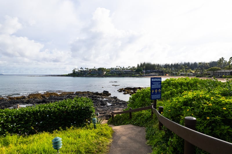 Stroll tropical resort pathways surrounded by lush greenery leading to peaceful island adventures