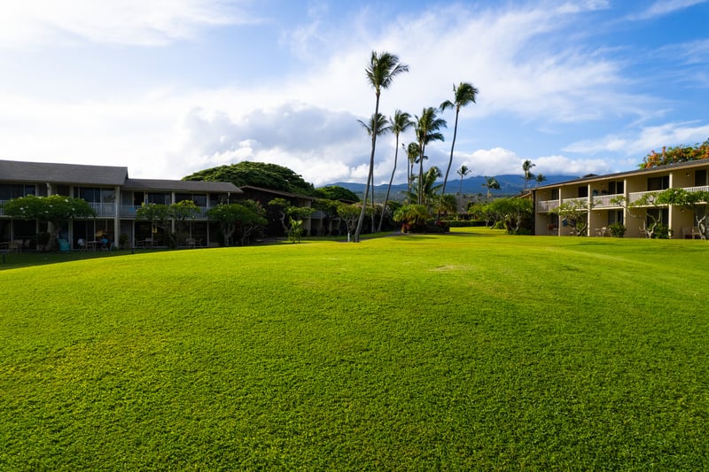 Napili Shores offers wide open lawns, ocean breezes & tropical surroundings for true island serenity
