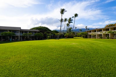 Napili Shores offers wide open lawns, ocean breezes & tropical surroundings for true island serenity