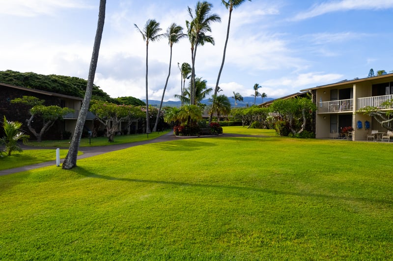 Expansive green lawns with ocean views provide perfect space for family fun or peaceful relaxation