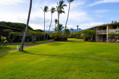 Expansive green lawns with ocean views provide perfect space for family fun or peaceful relaxation