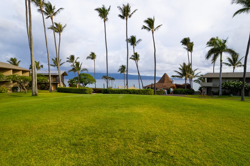 Spacious ocean-view lawns offer room to relax, play & enjoy Maui’s tropical beauty at Napili Shores