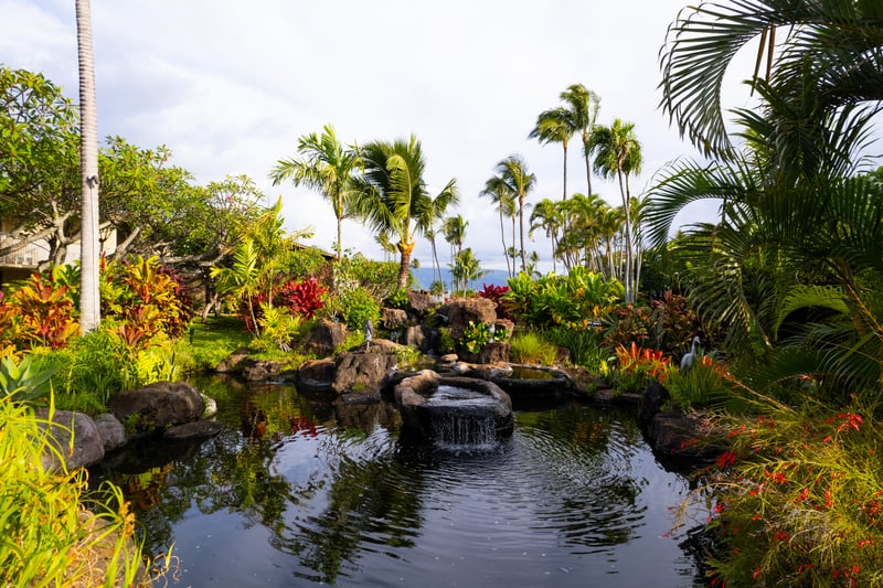 Relax beside peaceful koi ponds, waterfalls & tropical gardens with ocean views at Napili Shores
