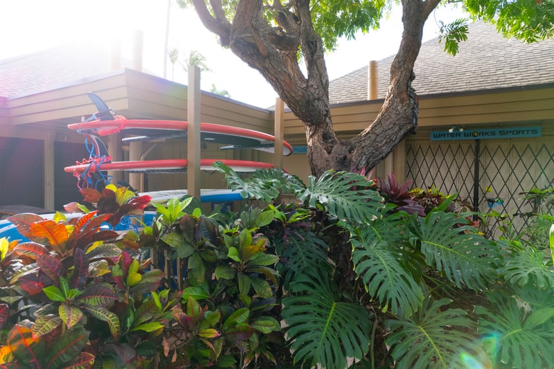 Snorkel with turtles, paddle crystal waters & explore island life steps from your Napili Shores suite