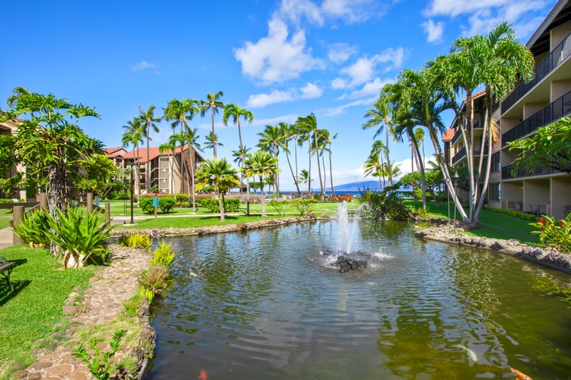 The koi ponds at Papakea add a peaceful touch to the tropical landscaping. Watch colorful fish glide through the water as you unwind.
