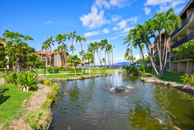 The koi ponds at Papakea add a peaceful touch to the tropical landscaping. Watch colorful fish glide through the water as you unwind.