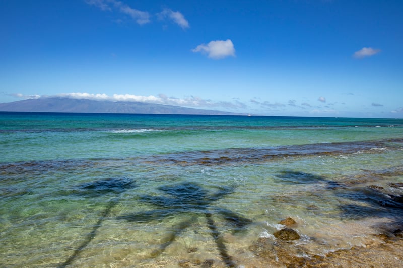 Papakea Resort is right on the ocean!  Your villa is only steps away from the Pacific waves.