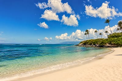 Relax on Maui’s secluded beach with soft golden sand, turquoise waters & swaying palms in pure tropical serenity