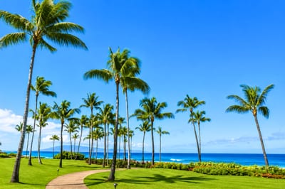 Stroll the palm-lined garden pathways leading to crystal blue ocean views and tropical island paradise
