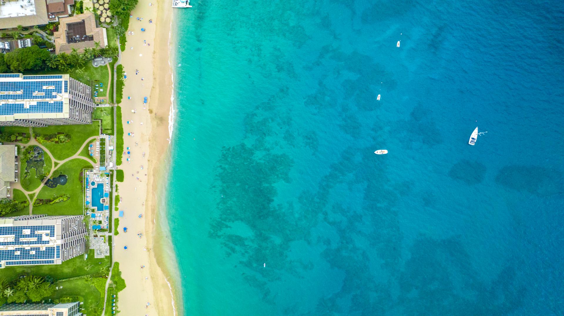 Luxury Maui resort towers with direct beach access, oceanfront location, palm trees, and sun loungers on white sand