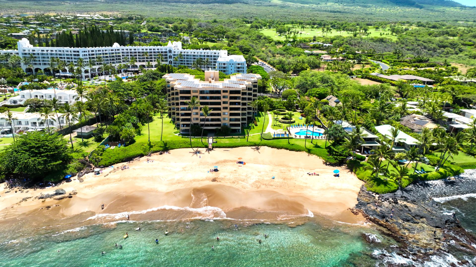 Wake up steps from the beach in this elegant oceanfront Airbnb with pool, lush grounds & island serenity