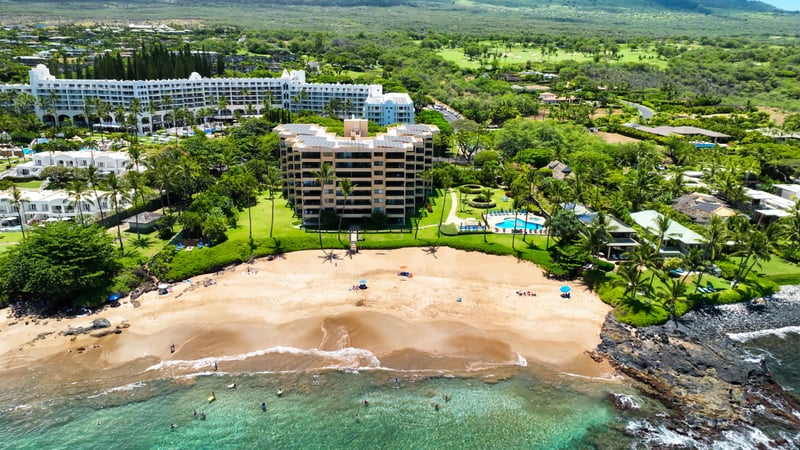 Wake up steps from the beach in this elegant oceanfront Airbnb with pool, lush grounds & island serenity