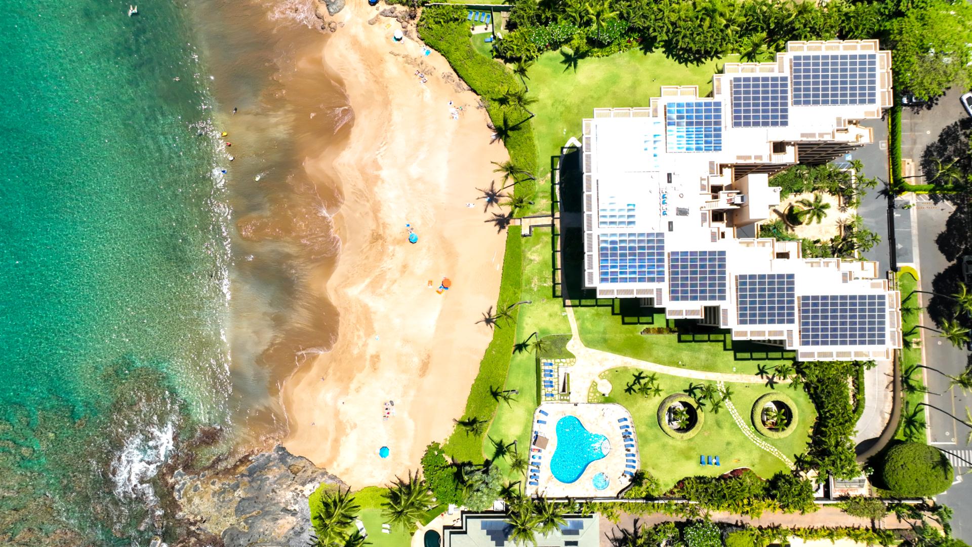 Oceanfront Airbnb w/ beach access, pool, solar-powered resort & lush grounds — your perfect island escape!