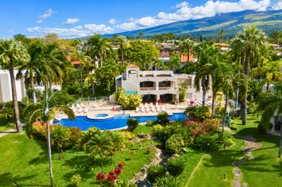 Beautiful garden and pool views showcase the tranquil tropical setting that makes The Palms at Wailea so special.
