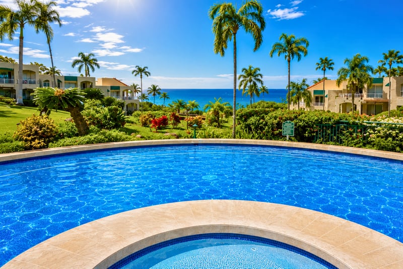 The saltwater pool and hot tub overlook the swaying palms and ocean.
