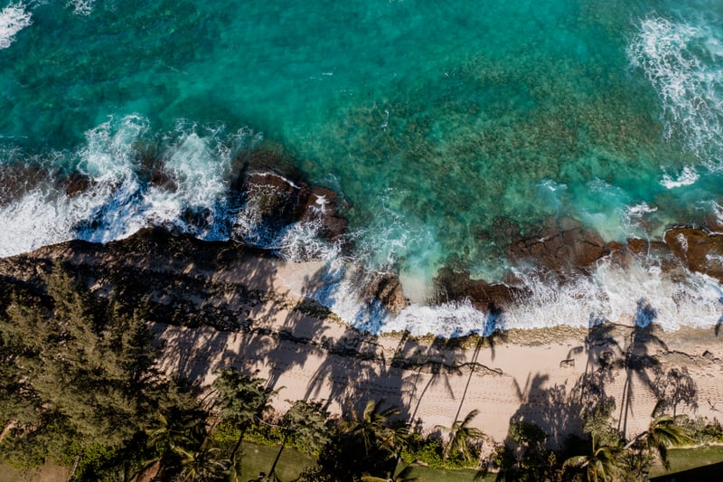 Aerial view of Kuilima Estates shoreline, where turquoise waves meet golden sand and palm tree shadows stretch across the beach for a classic North Shore scene.
