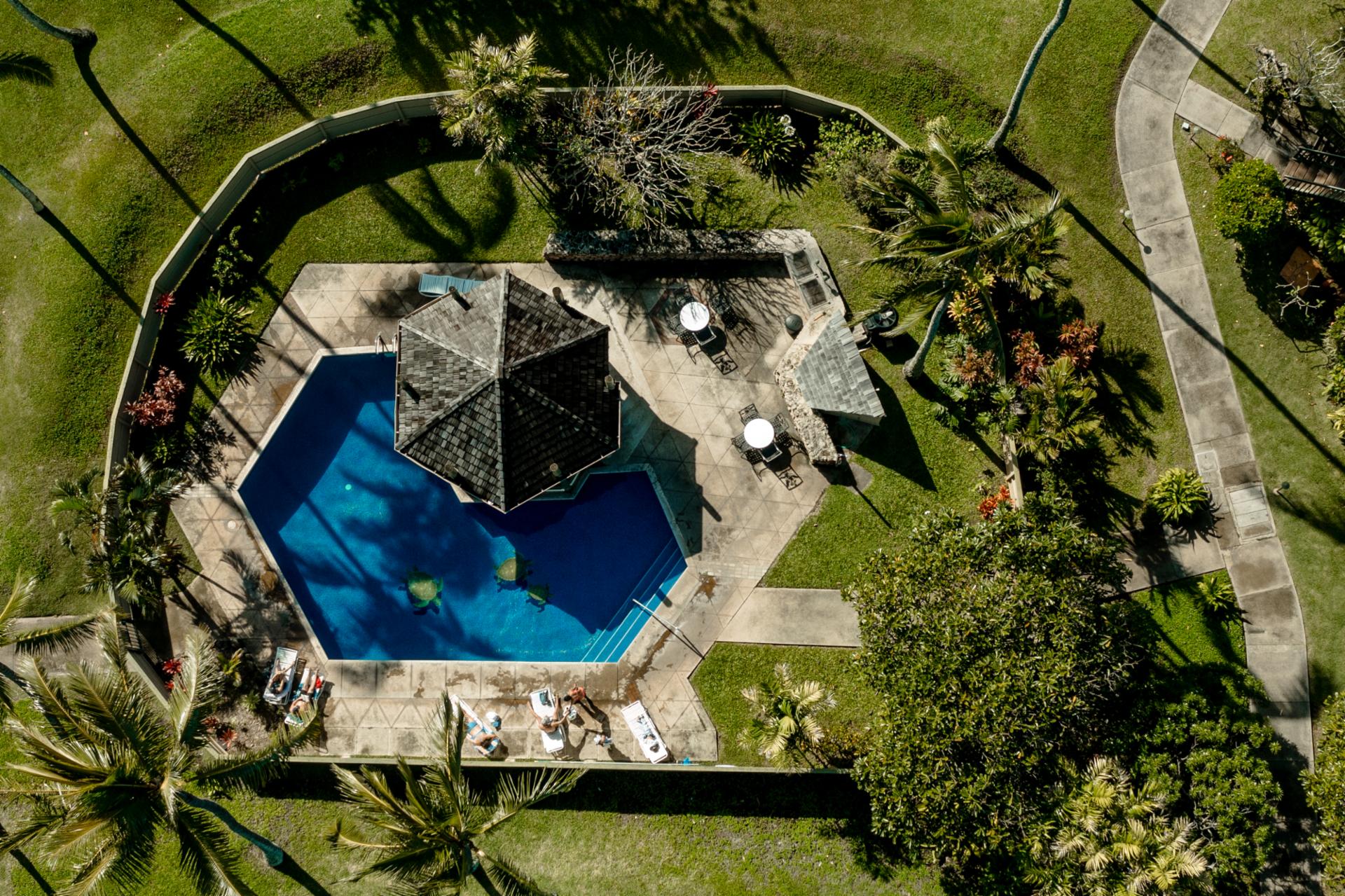 Tucked within Kuilima Estates, this octagon-shaped pool features a shaded pavilion, lounge chairs, BBQ grills, and playful turtle mosaics for laid-back days in the sun.