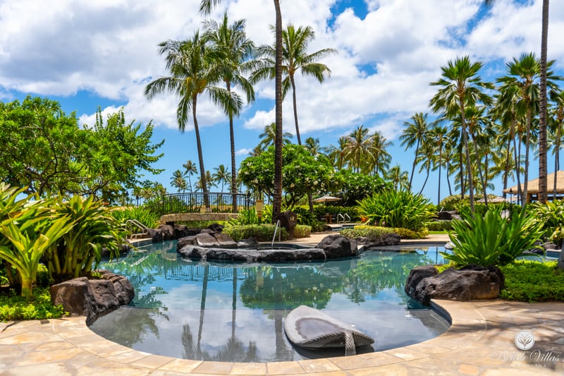 Swim beneath the bright Hawaiian sun and enjoy views of swaying palms. The pool here invites relaxation and endless fun.