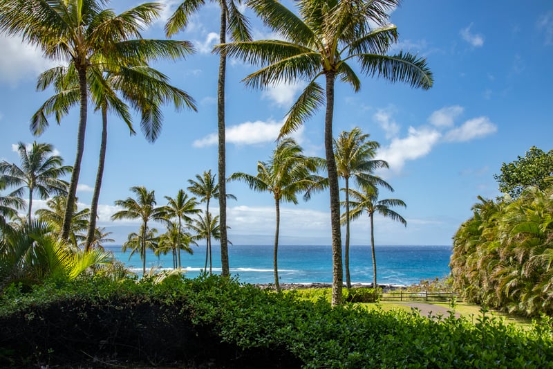 Palm trees and ocean breezes, where blue water meets the horizon just beyond your manicured lawn at The Resort at Kapalua Bay.   MON-2204