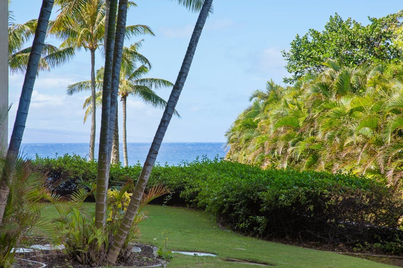 From your ground floor vantage point, tropical greenery gives way to show your steps from the famous Kapalua Bay. MON-2204
