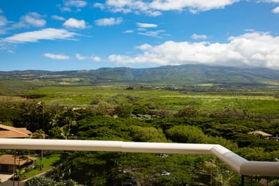 Your private lanai escape, framed by nature