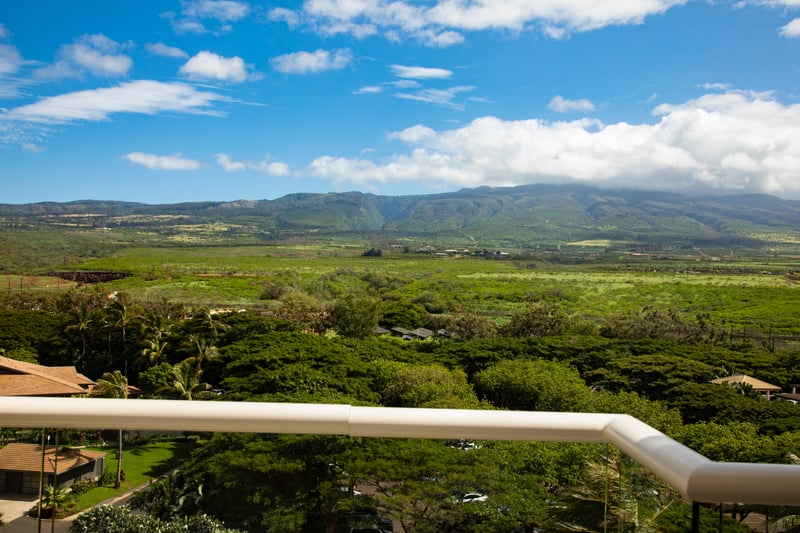 Your private lanai escape, framed by nature