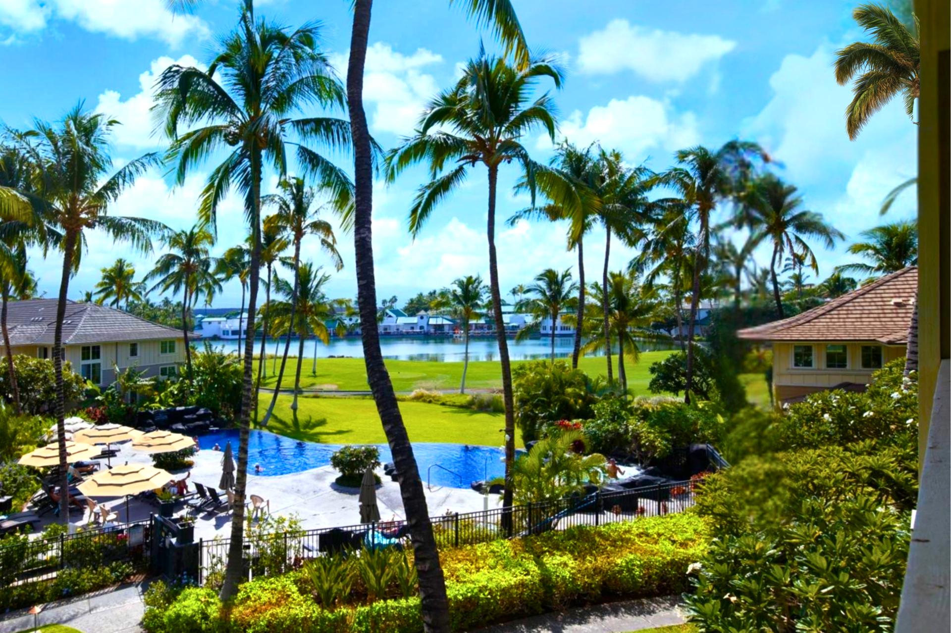 Enjoy peaceful resort views framed by tropical palms from your private lanai, just steps from the beach path.