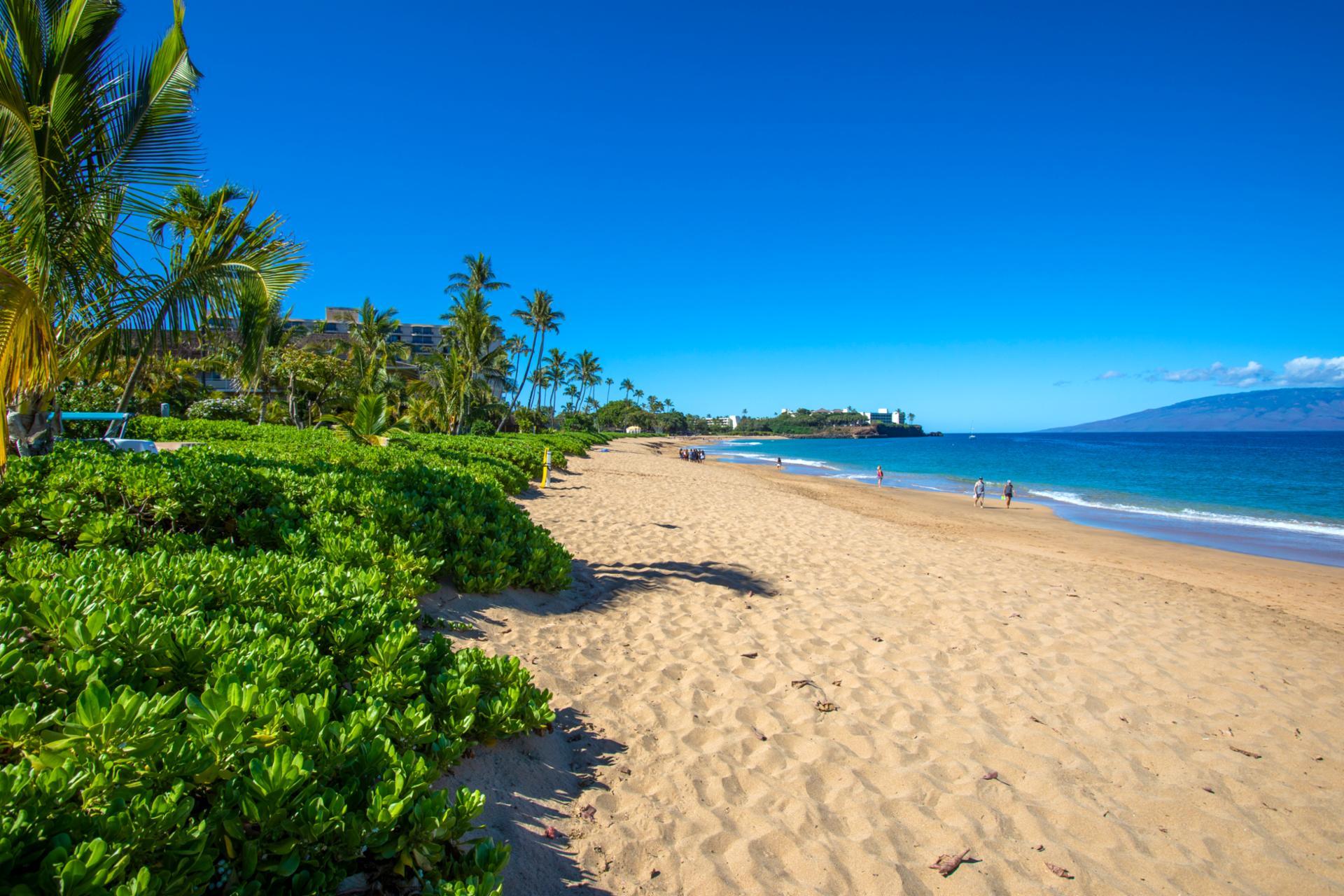 Step out onto soft sands and let the waves of the Big Island carry your worries away WCV-2004
