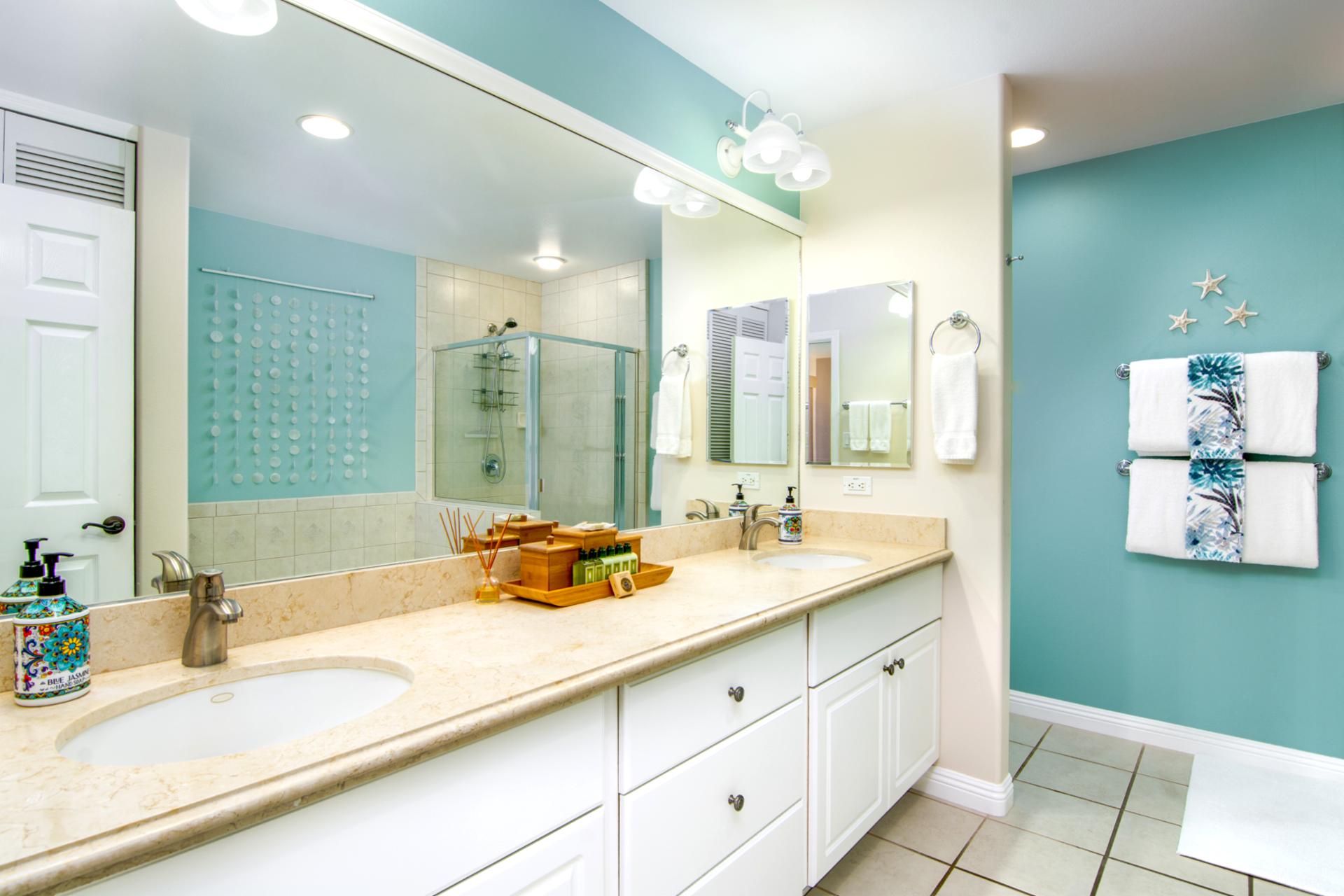 Spa-like master bathroom with ample counter space and mirrors
