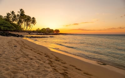 Golden sunset lights up a tranquil tropical beach with gentle waves and swaying palm trees.