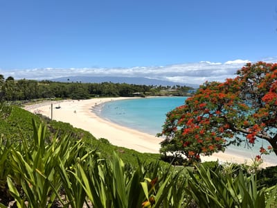 Discover the stunning coastline and scenic beauty that make Waikoloa one of Hawaii's most sought-after destinations FVW-L21