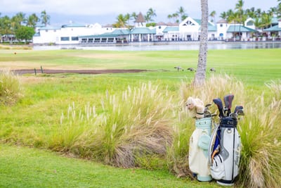 Guests have access to golf clubs, making it easy to enjoy the world-class courses nearby. Also in close proximity is Roy's Waikoloa, just a four minute walk from the villa FVW-L21