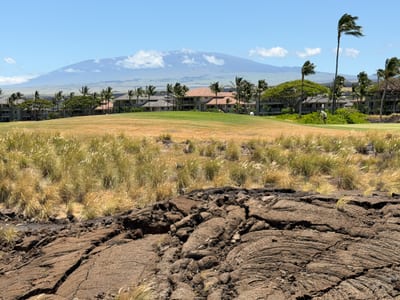 The villa is located along the Waikoloa Beach Golf Course, making it perfect for golf enthusiasts FVW-L21