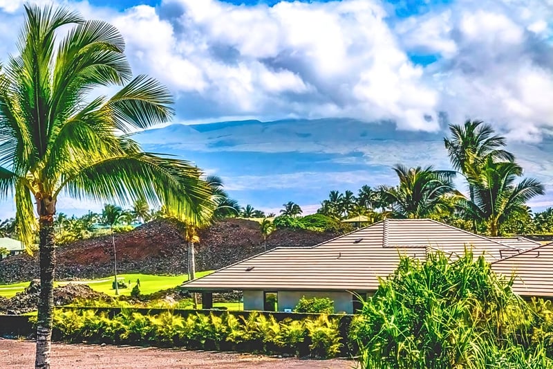 Lush palms, island skies, and mountain whispers—paradise found