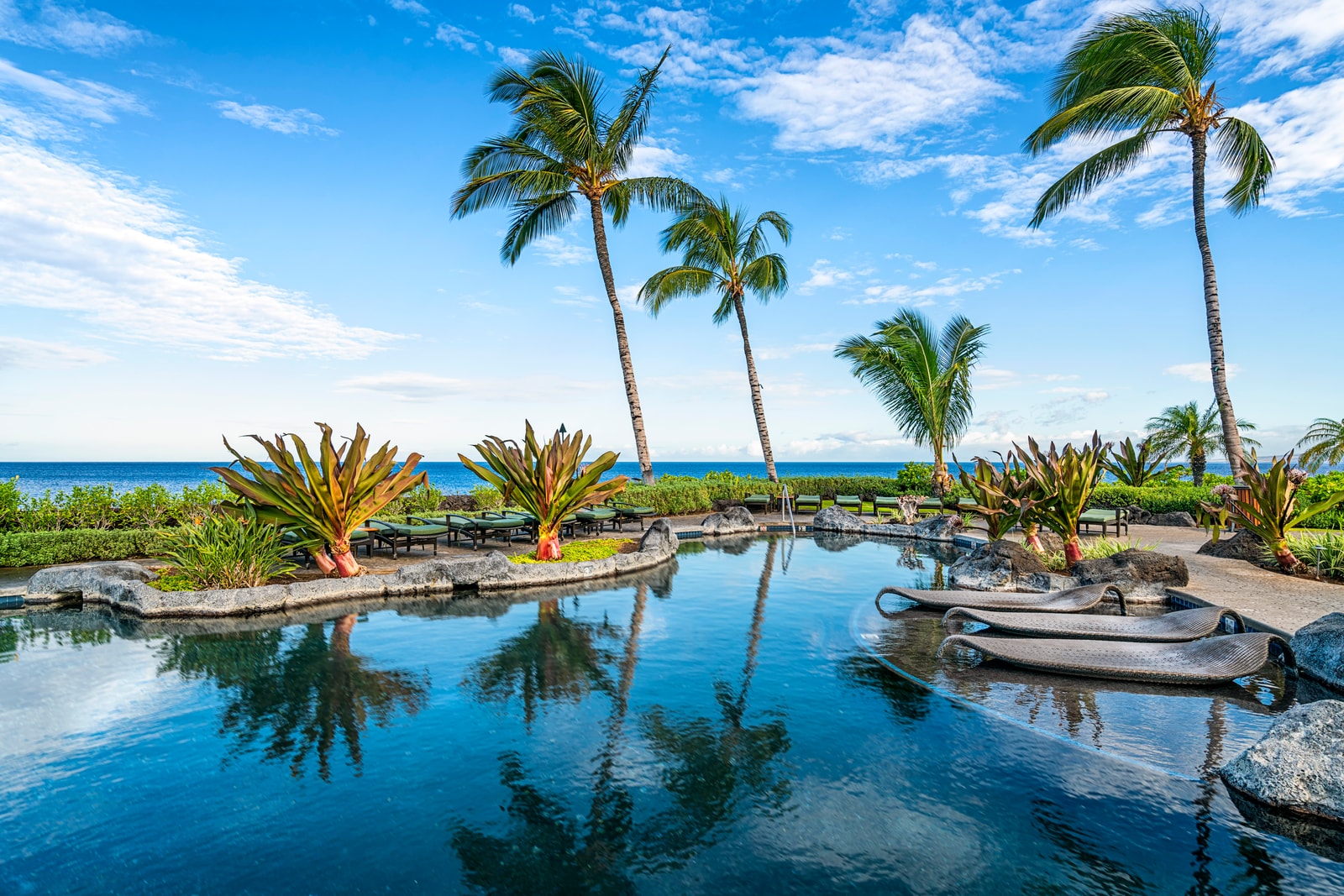 Soak in panoramic ocean views from the infinity-edge pool, bordered by lush tropical landscaping.