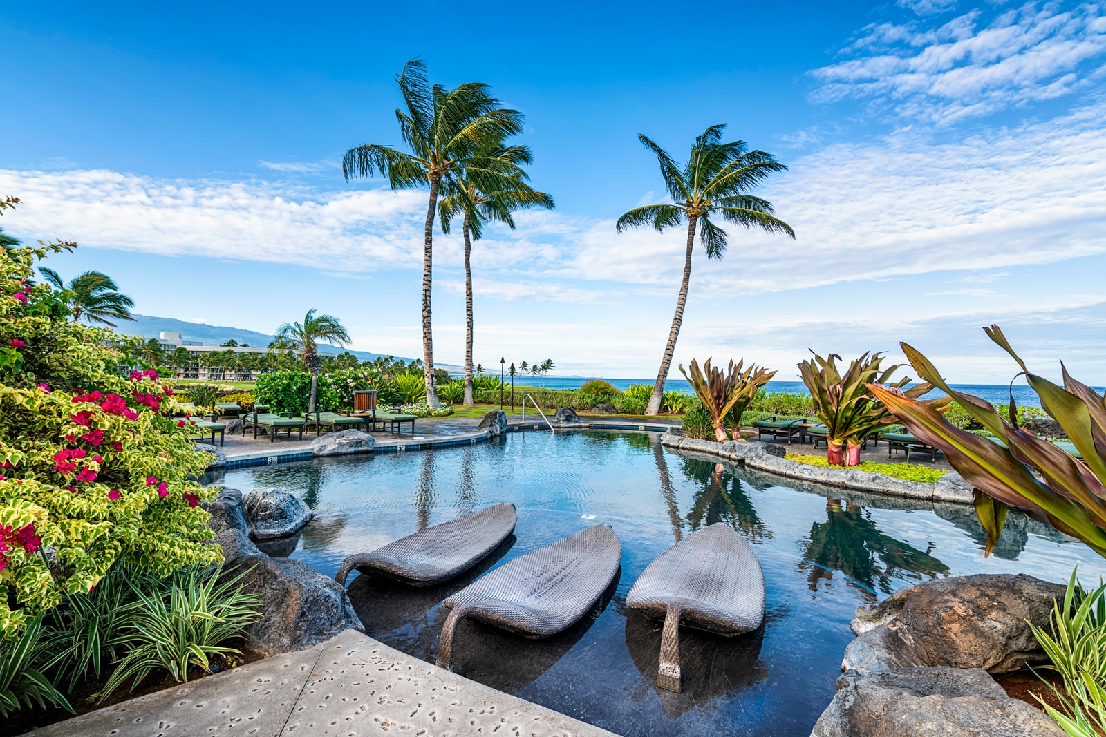 Unwind by the infinity-edge pool surrounded by palms, flowering plants, and panoramic ocean views.