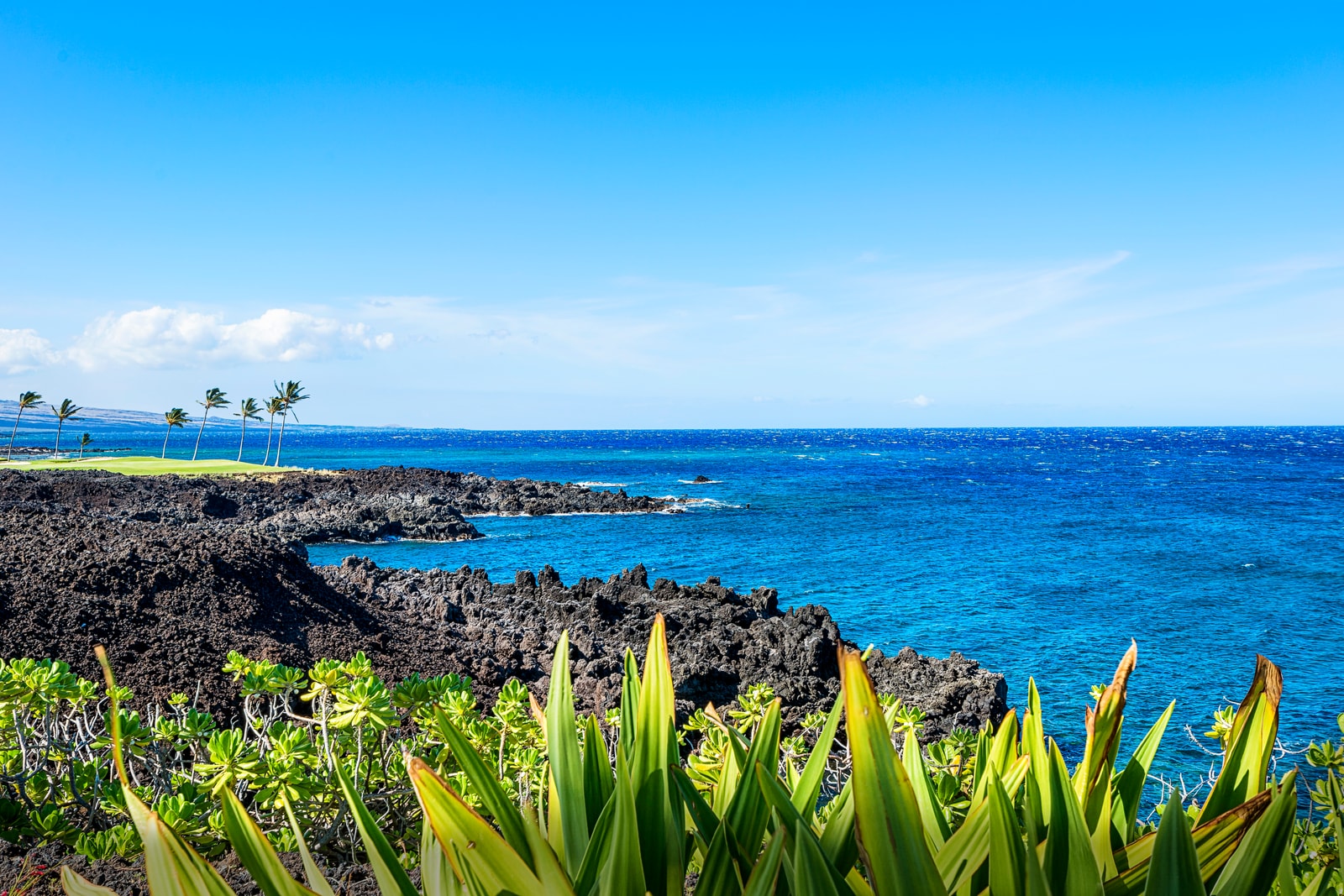 Take in sweeping ocean views from your lanai, where lava rock meets turquoise water in a classic Big Island panorama.