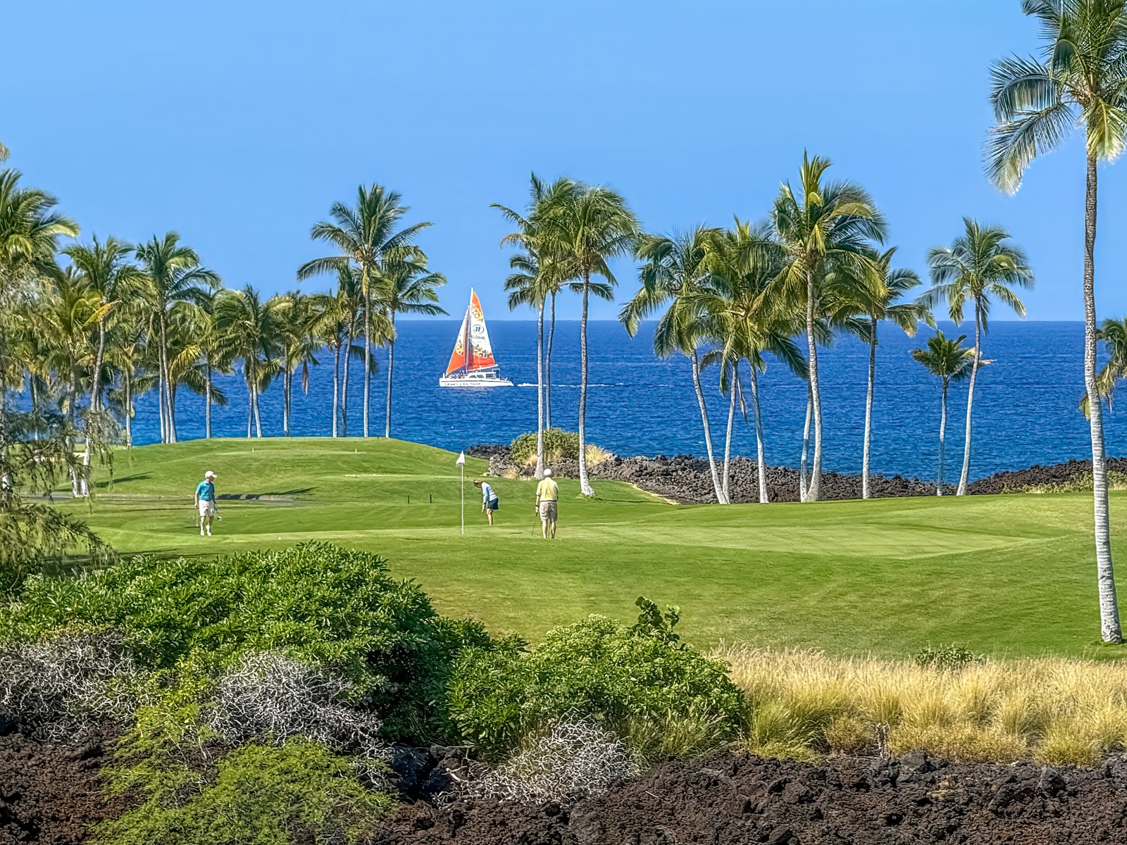 Enjoy sweeping resort views surrounded by lush tropical palms