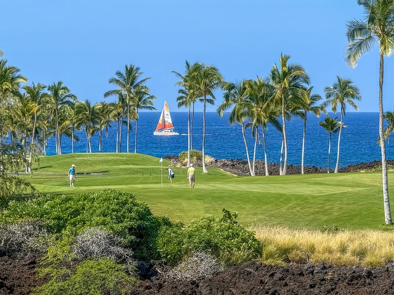 Enjoy sweeping resort views surrounded by lush tropical palms