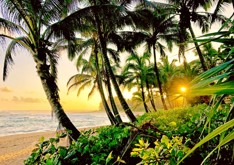 Gorgeous nearby beach with swaying palms and white sands - perfect bliss!