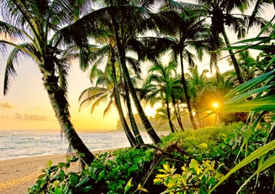 Gorgeous nearby beach with swaying palms and white sands - perfect bliss!